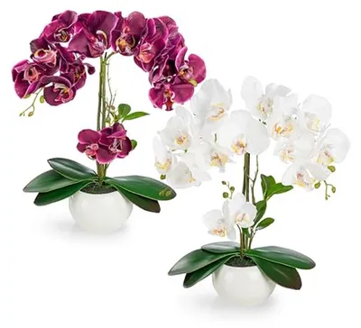 Productafbeelding van Kunstorchideeën Set - Decoratieve bloemen - Woonkamer decoreren - Echte keramiek potten - 40 cm - Paars-wit