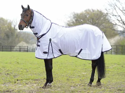 Zdjęcie produktu dla WEATHERBEETA COMFITEC Essential "Mesh" Combo 175 cm