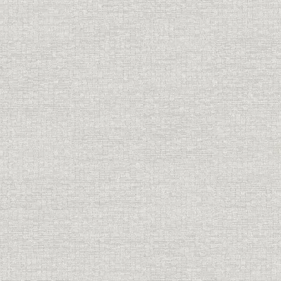 Immagine prodotto di Carta da parati Borastapeter a tinta unita grigia - 660313 - 53 cm x 10,05 m