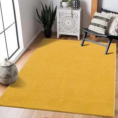 Produktbild von Famanu Teppich Einfarbig Waschbar Weich - Wohnzimmer 80 x 150 cm