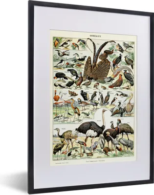 Produktbild von MuchoWow® Gerahmtes Poster Vogel - Natur - Tiere - Vintage - Kunstwerk 30x40 cm - Poster mit Schwarzem Bilderrahmen Wandposter Rahmen Foto Bilder - Wandposter Schlafzimmer