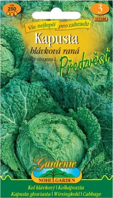 Obrázek produktu pro Kapusta hlávková raná PŘEDZVĚST