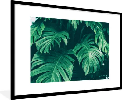 Produktbild von MuchoWow® Gerahmtes Poster Monstera - Blätter - Pflanzen - Dschungel - Natur 90x60 cm - Poster mit Schwarzem Bilderrahmen Wandposter Rahmen Foto Bilder - Wanddekoration - Fotos
