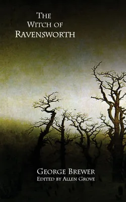 Produktbild von The Witch of Ravensworth
