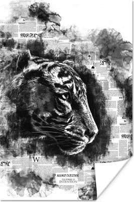 Produktbild von MuchoWow® Poster Kopf eines Tigers auf einem Hintergrund von Zeitungen - schwarz und weiß 40x60 cm - Plakate für die Wand - Poster Babyzimmer