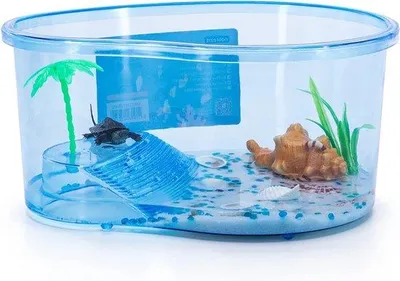 Produktbild von Famanu Schildkrötenaquarium mit Palm, Kunststoff Terrarium - Blau