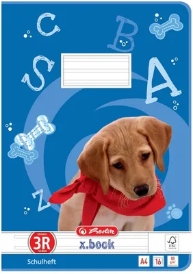 Produktbild von Schulheft A4 16 Blatt Lineatur 3 mit RandMix Packung mit 10 Stück