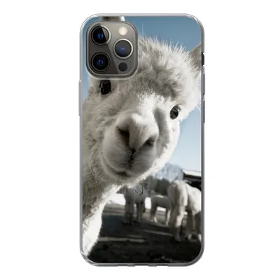Produktbild von MuchoWow® Handyhülle Schutzhülle Hülle für iPhone 13 Pro Alpaka - Weiß - Tier Silikon Softcase Handy Hülle - Handy-Tasche