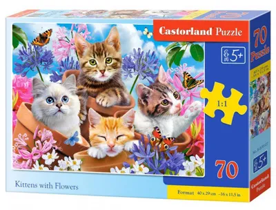 Produktbild von Castorland B-070107, 70 Stück(e), Tiere, 5 Jahr(e)