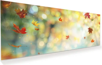 Produktbild von Glasbild 125x50cm in XXL für Wohnzimmer, Schlafzimmer Motiv Herbstlaub Wald