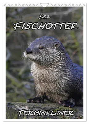 Produktbild von Der Fischotter-Terminplaner (Wandkalender 2027 DIN A4 hoch), CALVENDO Monatskalender