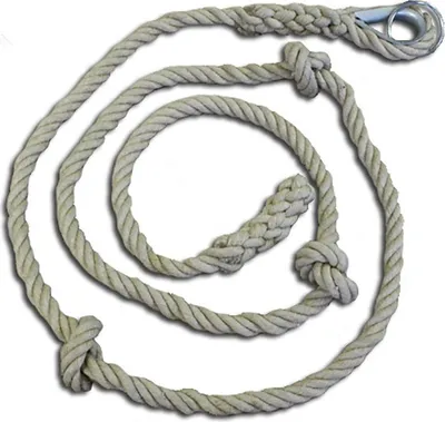 Immagine prodotto di Corda da arrampicata con nodo da 4 m (solo per uso interno) multicolore