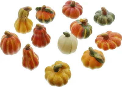 Produktbild von FRANK FLECHTWAREN Kürbis Deko, Terracotta-Kürbis, im 12er Set, natürlich, vielseitig verwendbar, Herbst & Halloween Deko