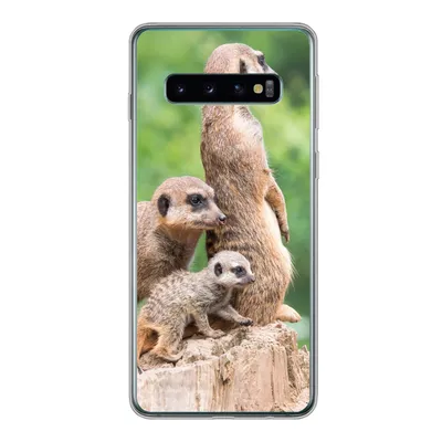 Produktbild von MuchoWow® Handyhülle Schutzhülle Hülle für Samsung Galaxy S10 Erdmännchen - Baumstumpf - Jungtier Silikon Softcase Handy Hülle - Handytasche
