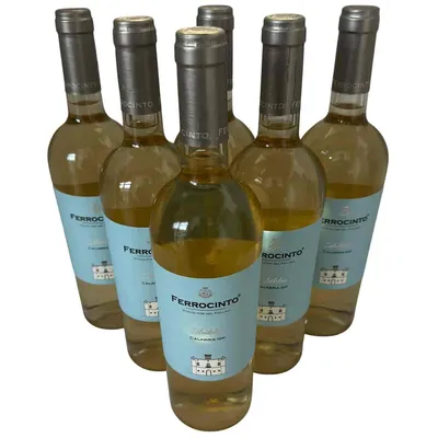 Produktbild von Zibibbo Calabria IGP 2025 - Tenute Ferrocinto - 6×0,75L - Weißwein aus Italien