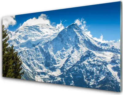 Produktbild von Acrylglasbilder 100x50 Wandbild Druck Gebirge Baum Landschaft