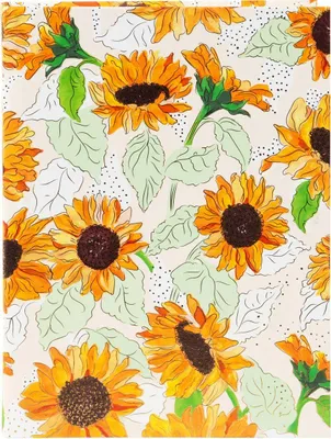 Produktbild von Goldbuch Notizbuch Sunflower white 15x22 cm DIN A5