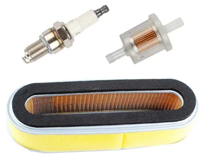 Imagen del producto de Filtros de repuesto para cortacéspedes Honda