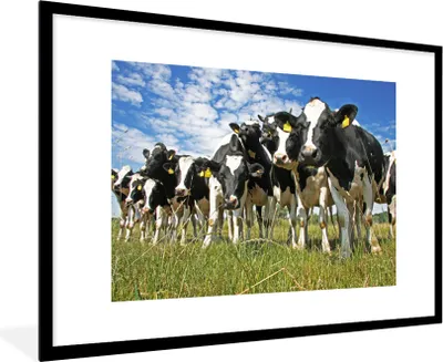 Produktbild von MuchoWow® Gerahmtes Poster Kühe - Gras - Wiese - Tiere 90x60 cm - Poster mit Schwarzem Bilderrahmen Wandposter Rahmen Foto Bilder - Wanddekoration - Fotos