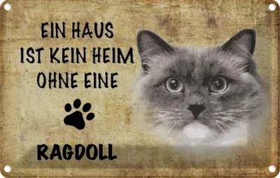 Produktbild von vianmo Blechschild 20x30 cm Ragdoll Katze ohne kein Heim Tier Haustier