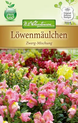 Produktbild von Löwenmäulchen Zwerg - Mischung  | Löwenmaulsamen von N.L. Chrestensen