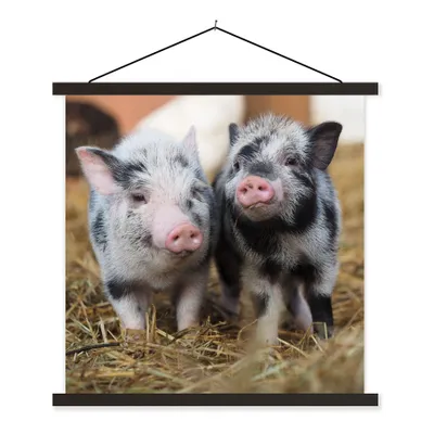 Produktbild von MuchoWow® Textilposter Schwein - Tiere - Ferkel 90x90 cm mit schwarzem Rahmen - Magnetisches