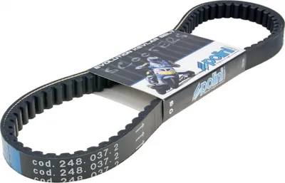Produktbild von Keilriemen Polini Aramid Belt Evolution 815x19,7x9mm, 30° für Aprilia, Derbi, Gilera, Piaggio 50ccm