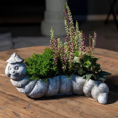 Produktbild von Zement Pflanzschale grau Raupe 8 x 23cm Blumentopf Deko-Schale bepflanzbar