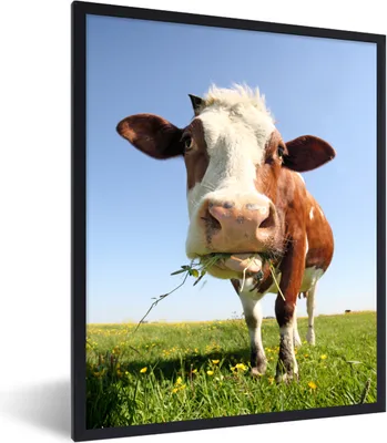 Produktbild von MuchoWow® Gerahmtes Poster Kuh - Tiere - Blumen - Gras 60x80 cm - Poster mit Schwarzem Bilderrahmen Wandposter Rahmen Foto Bilder - Premium - Wanddeko Wohnzimmer