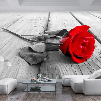 Produktbild von Basera Selbstklebende Fototapete Rosenmotiv b-B-0025-a-a, mit UV-Schutz, 147x105 cm