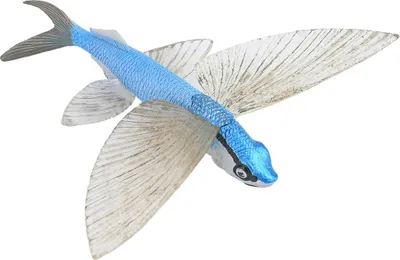 Image de Modèle de poisson de mer, modèle de jouet animal, jouet éducatif en plastique, solide pour les enfants