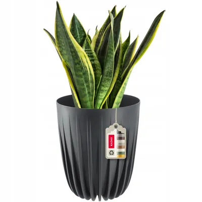 Obrázok produktu pre KADAX plastový kvetináč "Costa", s prírodnými materiálmi, kvetináče, s vložkou, 30 cm, antracit