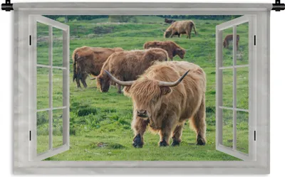 Produktbild von MuchoWow® Wandteppich Wandbehang Ansicht - Gras - Schottischer Hochländer 150x100 cm Tapisserie Dekoration Wandtuch - Waschbar - Tapisserien - Wand-Decke