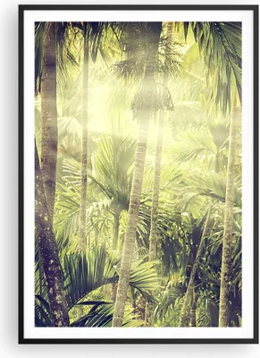 Produktbild von Gerahmtes Poster - Schwarzer Rahmen - Morgendämmerung Dschungel Palmen - 70x100 cm - Wand Bild - Wanddeko - Wandbilder - Kunstposter - Wandposter - Bilderrahmen - Bilder - P2BPA70x100-4450