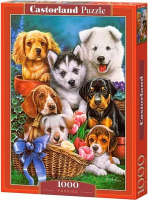 Produktbild von Castorland Puppies, Puzzle 1000 Teile