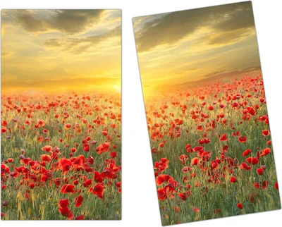 Produktbild von Spritzschutz Herdabdeckplatte Schneidebrett aus Glas Sonnenuntergang 2-Teilig (60x52cm)