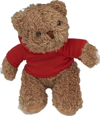 Produktbild von Plüsch-Bär  Kuscheltier, sitzend, mit rotem T-Shirt mit Kapuze