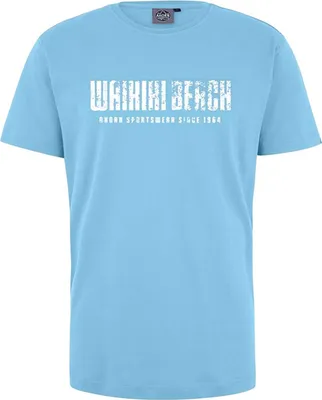 Produktbild von Übergrößen T-Shirt Waikiki weiß AHORN SPORTSWEAR Sky Blue 6XL
