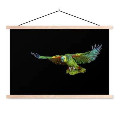 Produktbild von MuchoWow® Textilposter Papagei - Vogel - Federn 60x40 cm mit holzfarbenen Rahmen - Bilder