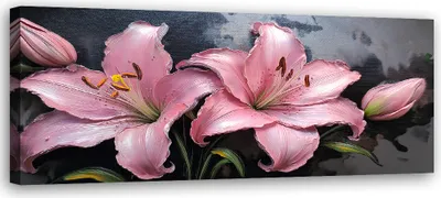 Image de Toile rose Lys Fleurs Plantes Couleurs pastel 150x50 Feeby Rose Image pour le mur Prête à accrocher