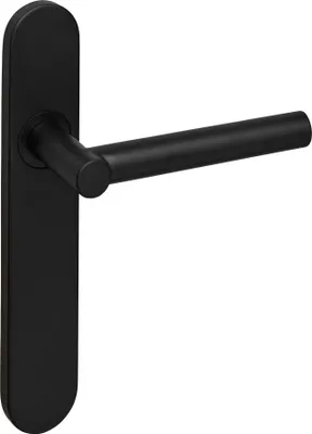 A black door handle with a rectangular backplate, shown against a white background.