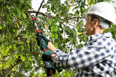 Produktbild von Akku-Gartenschere AdvancedPrune 18V-45, 1 x Akku PBA 18V 2.0Ah