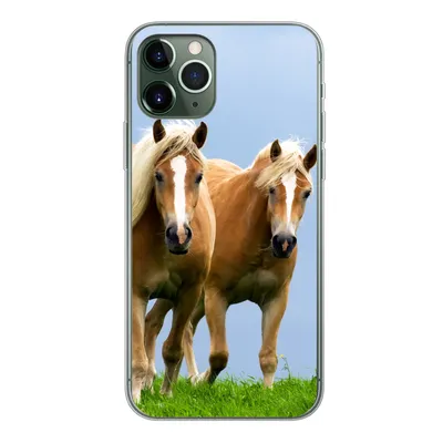 Produktbild von MuchoWow® Handyhülle Schutzhülle Hülle für iPhone 11 Pro Pferde - Gras - Luft Silikon Softcase Handy Hülle - Handy