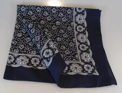 Produktbild von Vierecktuch 70x70cm Paisley blau Halstuch Bandana Baumwolle