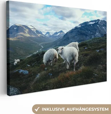 Produktbild von OneMillionCanvasses® - Leinwandbilder - 140x90 cm, Schafe - Natur - Berge, Wandbilder Kunstdruck Wanddekoration