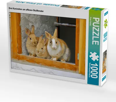 Produktbild von CALVENDO Puzzle Drei Kaninchen am offenen Stallfenster | 1000 Teile Lege-Größe 64x48cm Foto-Puzzle für glückliche Stunden