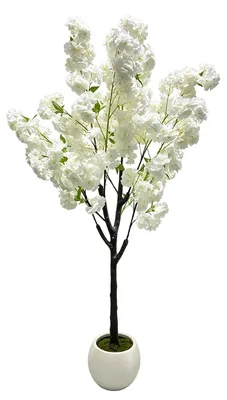 Obrázek produktu pro Umělá třešeň s květy - 150 cm, umělá rostlina v květináči - bílé květy sakury - vhodná pro vnitřní použití - dekorace do domácnosti, kanceláře, na svatbu, na party