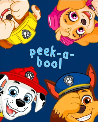 Obrázek produktu pro Dětská deka Paw Patrol II
