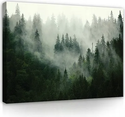 Produktbild von Leinwandbild Wald Nebel Natur 120x80 cm XXL Modern Canvas Bilder Leinwandbilder Schlafzimmer Wohnzimmer Wandbilder Kunstdruck Wand Bild auf Leinwand Aufhängefertig