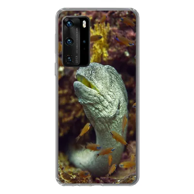 Produktbild von MuchoWow® Handyhülle Schutzhülle Hülle für Huawei P40 Pro Fische - Korallen - Ozean Silikon Softcase Handy Hülle - Schutz